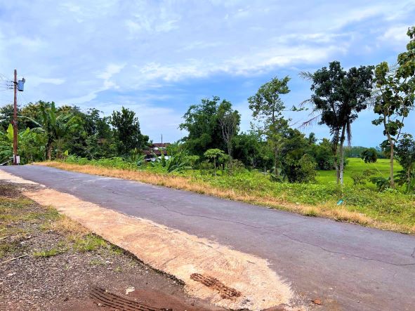 Tanah Startaegis Dibangun Homestay Karanganyar Direktori Properti