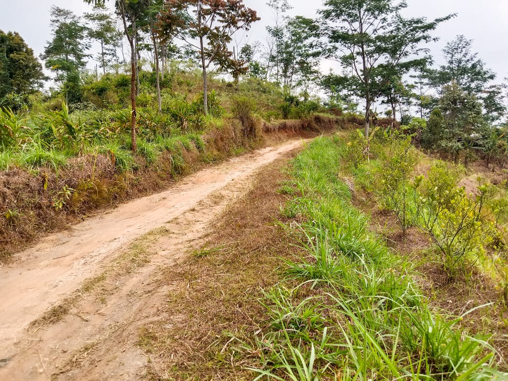 Tanah Datar 70rb M Dekat Wisata Kemuning Karanganyar Direktori