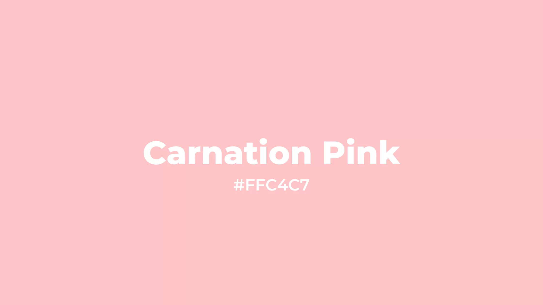 Warna Pastel : Carnation Pink